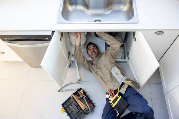 Best Affordable Plumbing Services  in Carpentersvle, IL